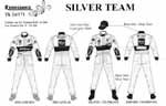 Rally Mechanic Silver Team Decal 1:24