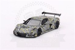 Chevrolet Corvette Z06 GT3.R Sebring Test 2022