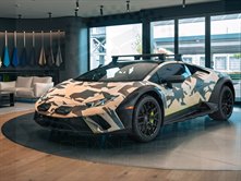Lamborghini Huracan Sterrato All-Terrain 2024 Sand Camouflage