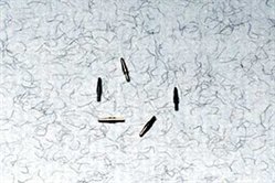 Aerial Mounting turned (x5)