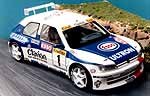 Peugeot 306 Maxi Monte Carlo/Tour De Corse 1996 1:24